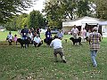 img 099